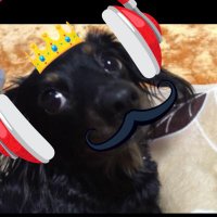 ふぁぎ弼🐉✨✨ (@722life) Twitter profile photo