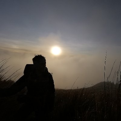 tonchinchao's profile picture. 