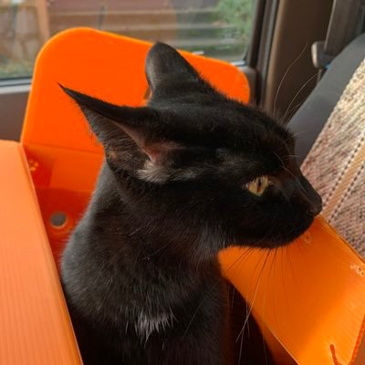 itlu4climate's profile picture. Integrate transportation and land use to eliminate/shorten auto trips.