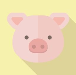 buhibuhi1624's profile picture. ♧20代♧154cm♧Cカップ♧顔NG♧DM返信気まぐれ♧会わない♧LINEカカオ❌