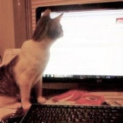 BarbNMass's profile picture. Happy that Elon Musk purchased Twitter and renamed it "X" .