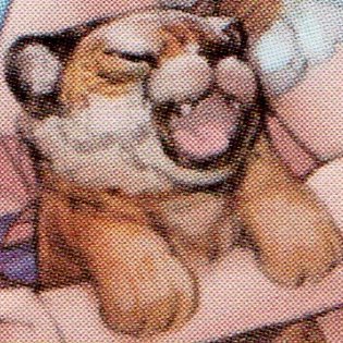 たま蒟蒻さんのプロフィール画像