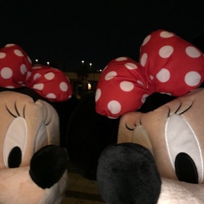 Xw0Ly's profile picture. 