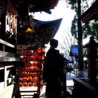 樹　悠里 (@mikiyuuri) Twitter profile photo