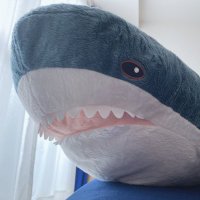 ひろと (@hiroto_628) 's Twitter Profile