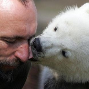 allonsvoirsila's profile picture. Les choses qui existent sont importantes