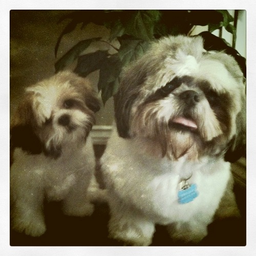 larrys4799's profile picture. The #larold