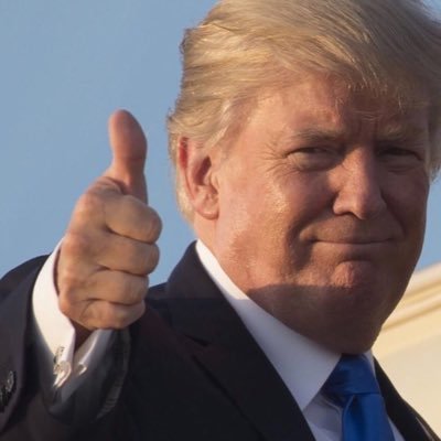 JohnTopDog1's profile picture. 