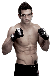 joshgrispi's profile picture. 