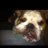 natta's profile image
