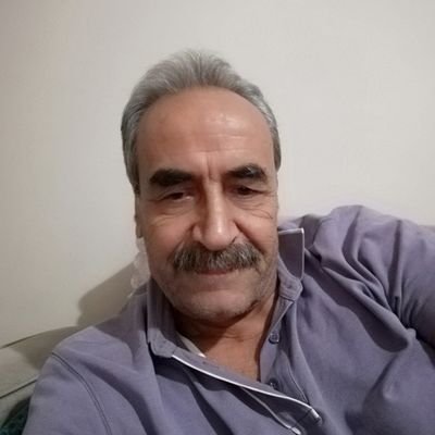 ibocan77913764's profile picture. 