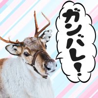 【公認】頑張れ!トナカイト!(@ganbaretonakai) 's Twitter Profile Photo