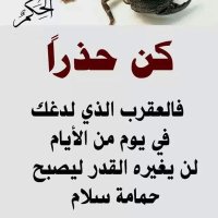 محمد (@ymn_2016) 's Twitter Profile