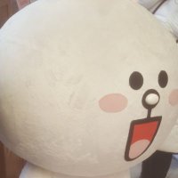 せいめい (@b30wnosa3vqq4kx) 's Twitter Profile