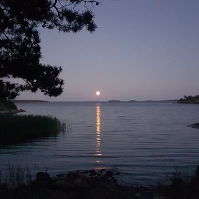 swefinnik's profile picture. Mot den svenska socialismens seger! 😉