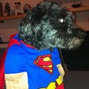 Scott Bayer - @Scottebayer - Twitter