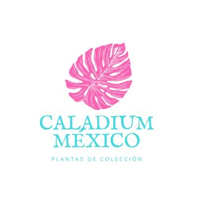 caladiummexico Profile Picture