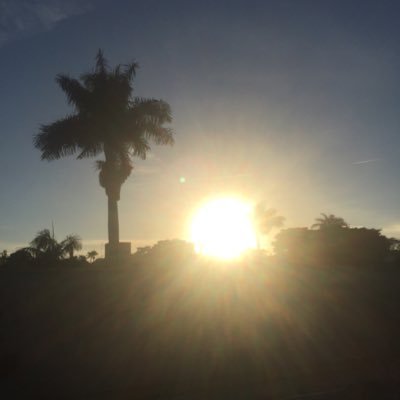 pettersenlucia1's profile picture. 