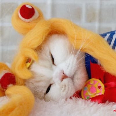 wwonderviva's profile picture. When life gives you lemon, turn it into peach 🍑