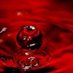 RED_MERCURY (@red0mercury) Twitter profile photo RED_MERCURY (@red0mercury) Twitter profile photo