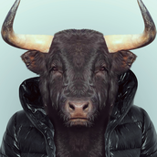 iamtito_'s profile picture. Tech enthusiast | A new era already began.