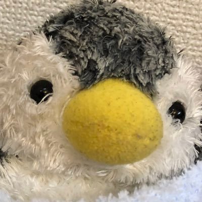 penchankawai's profile picture. ぺんぎんが苗をめでる   夏がだいすき冬はおこたで丸くなるっきゅ