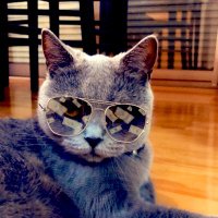 ともとも (@tomomo_012227) 's Twitter Profile