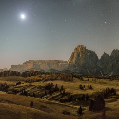 David1980021's profile picture. 