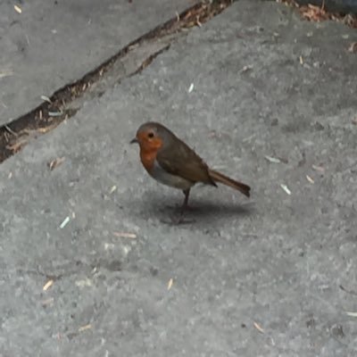 _margaretmolloy's profile picture. 