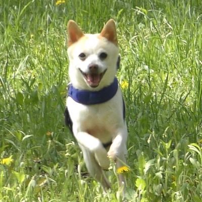 TATEZOUさんのプロフィール画像