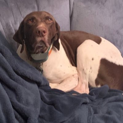 PatrickDahn11's profile picture. Business Professional