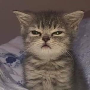 jabwd's profile picture. I do stuff with computers ¯\_(ツ)_/¯
he/him