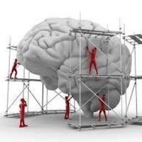 Armfield T&L (@armfieldtandl) 's Twitter Profile Photo