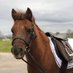 Second Place (@poniesandgoats) Twitter profile photo Second Place (@poniesandgoats) Twitter profile photo