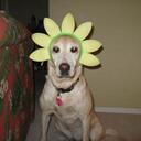 BARB SCHMIDT - @BAAABS31 - Twitter