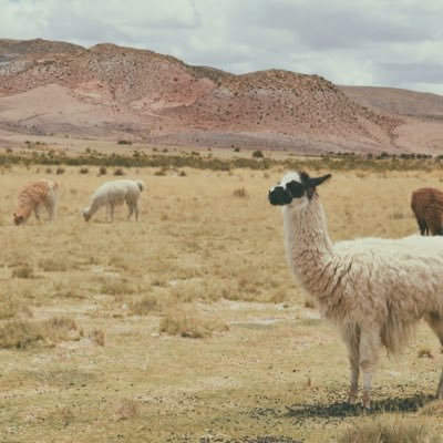 graphis_phase's profile picture. 