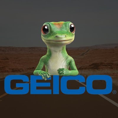 Geico Support Team