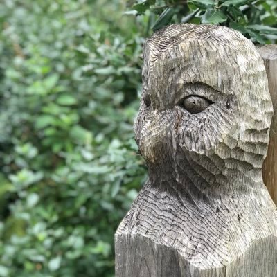 dyson2030's profile picture. 