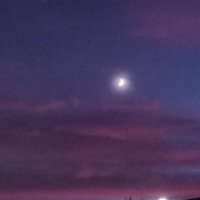 Lacey Sears (@ladielacey) 's Twitter Profile