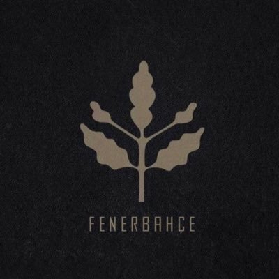 fbmacyorumcusu's profile picture. Futbol, FENERBAHÇE