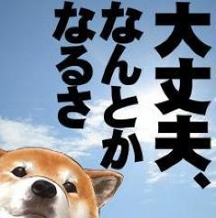 わんこ