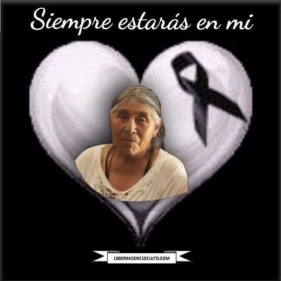 nina_pacherres's profile picture. leonardo