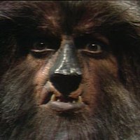Walker (@walkport) Twitter profile photo