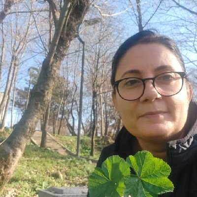 songul_varl's profile picture. Bilim insanı