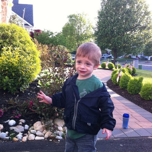 alangeber's profile picture. entrepreneur, dad, reptile enthusiast, like to rant, amateur photographer