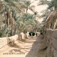 محب واحة 🌴الأحساء🌴 (@flow2060) 's Twitter Profile