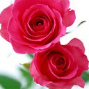 NELLY VERA - @VERA_NELLY - Twitter