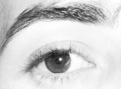 laheironaesta's profile picture. Soy el comandante de tu parte de adelante, de tu parte trasera (que por cierto no tienes) Jajajá
Mi mejor trío: Usted,el recuerdo de mi ex y yo.