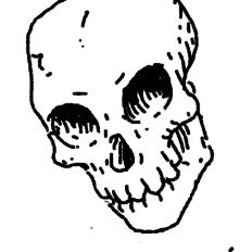 Skeleton enthusiast, developer, artist, fantasy buff, weeb, and edgy tabletop roleplayer.

They / He / She
