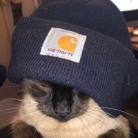 brotherotter (@imleavingearly) 's Twitter Profile Photo brotherotter (@imleavingearly) 's Twitter Profile Photo